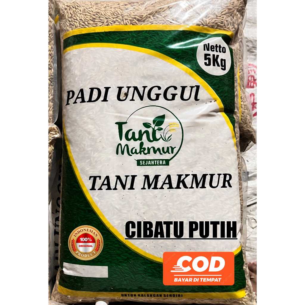 Benih Padi CIBATU PUTIH Original kemasan 5 Kg
