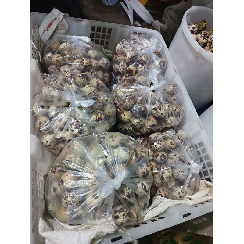 

Telur Puyuh Konsumsi per 1kg - Khusus Instan Kurir
