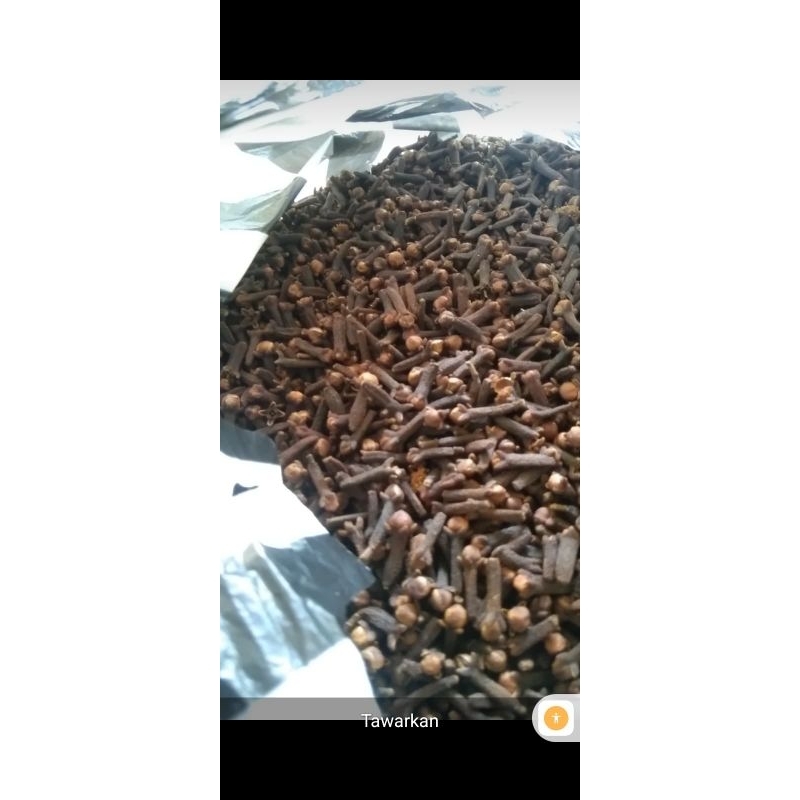 

UMKM cengkeh kering premium asli petani
