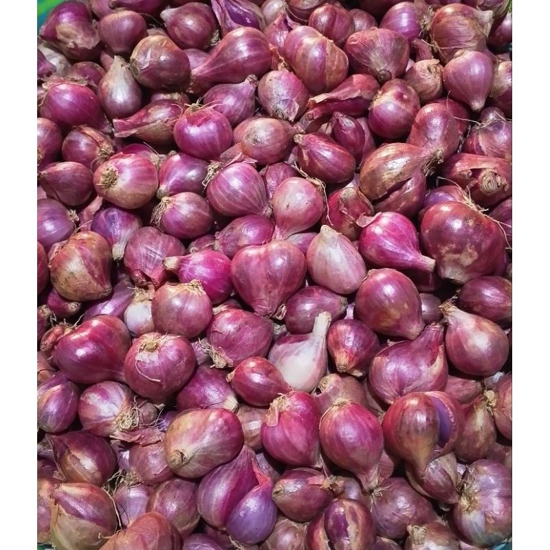 

BAWANG MERAH JATIM