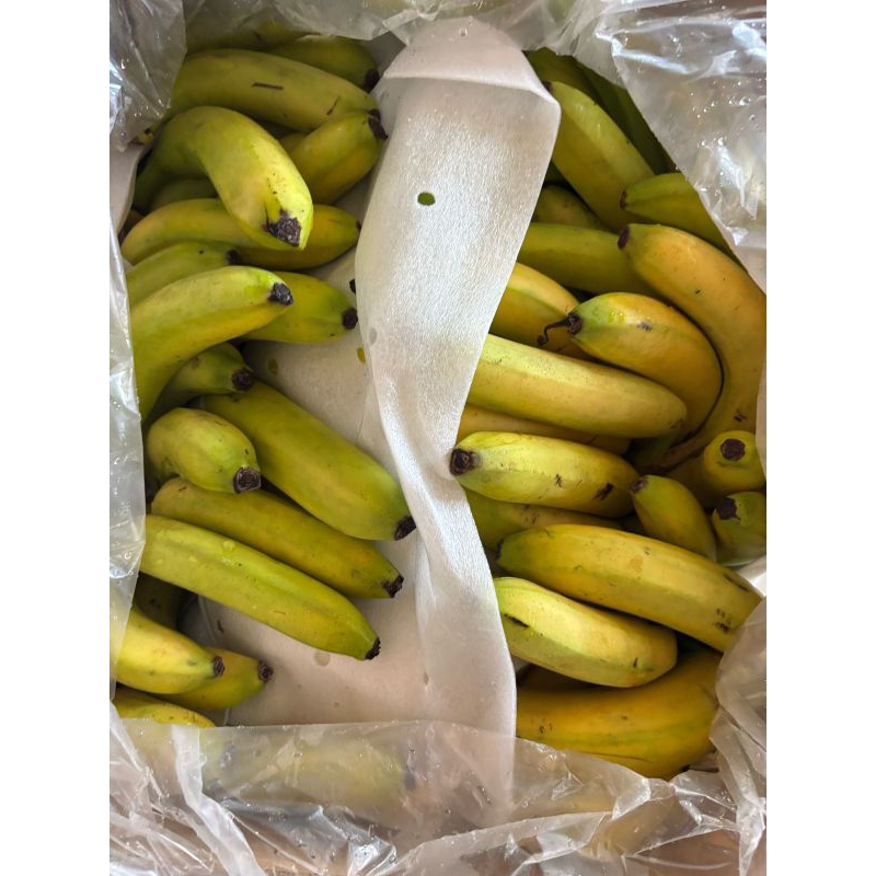 

Pisang Cavendish Sunpride 1kg isi 6-8 buah