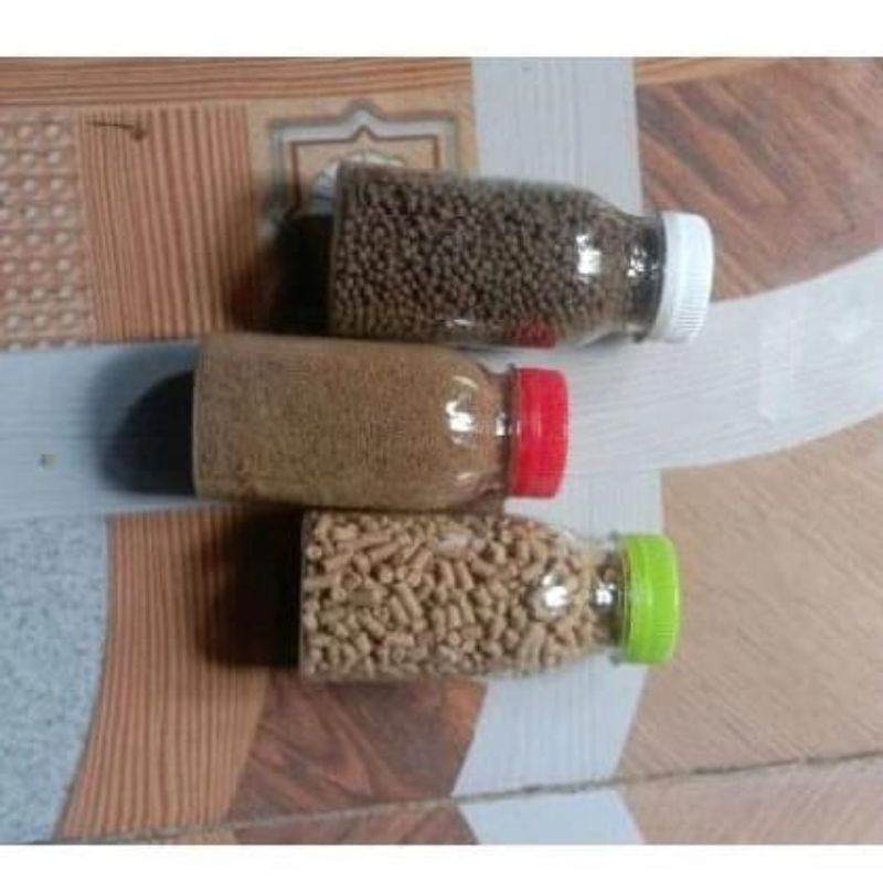 pakan udang/ikan hias aquarium