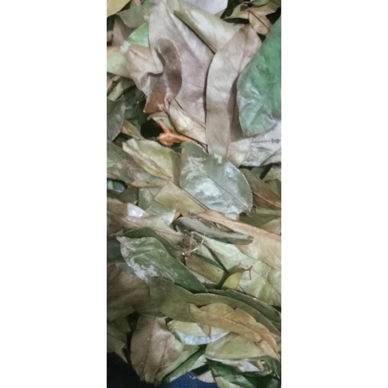 

Daun Sirsak Kering tanpa sinar matahari & organik 100g