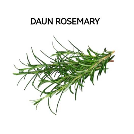 

Daun Rosemary Segar Organik