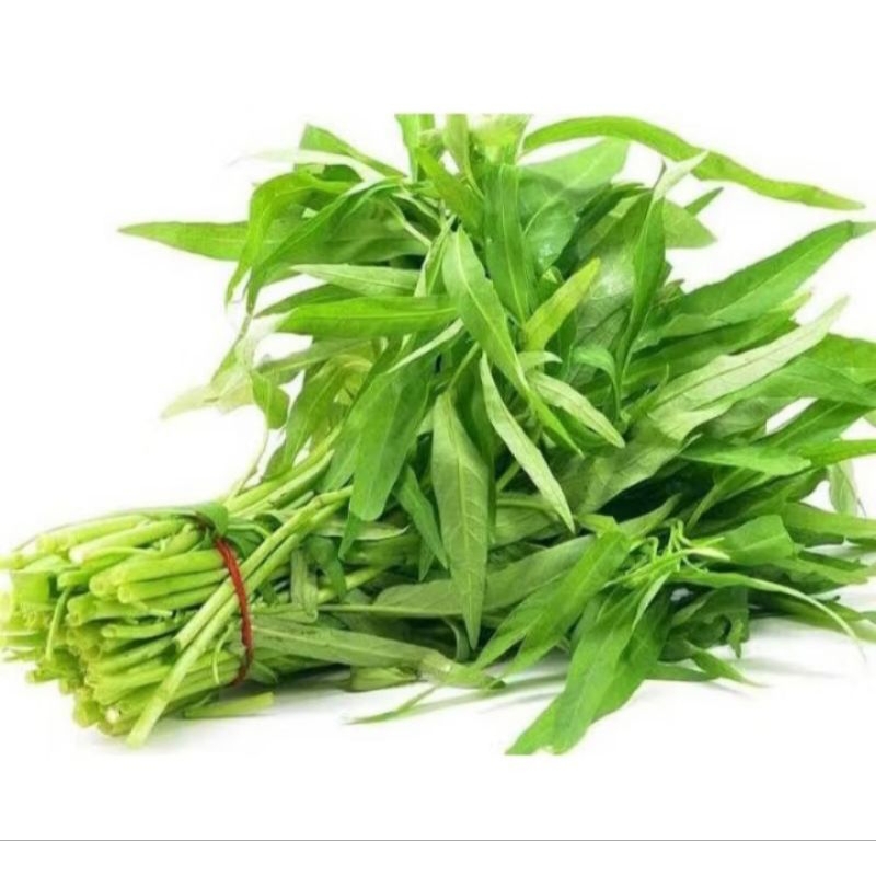 

SAYURAN- Kangkung 1 ikat