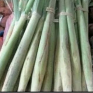 

Trubuk sayur sgar 1000 gram...