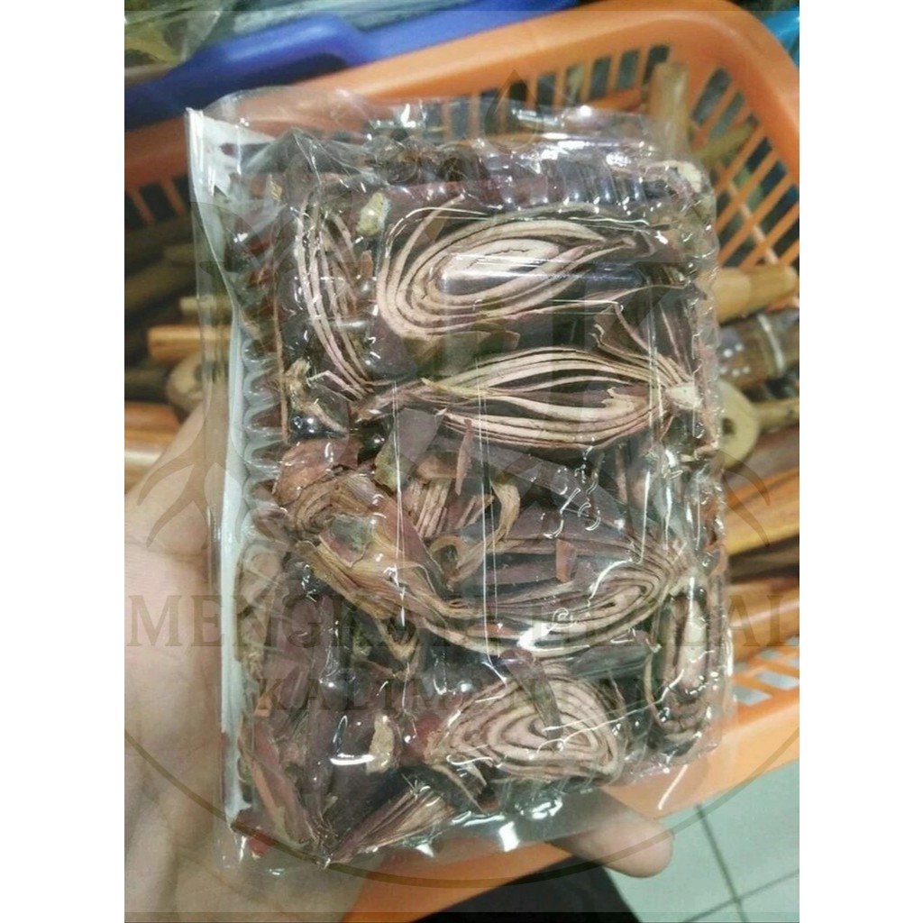 

Bawang Dayak Asli Kalimantan – Obat Gondok & Herbal Alami 100% Kering | Obat Tradisional Dayak