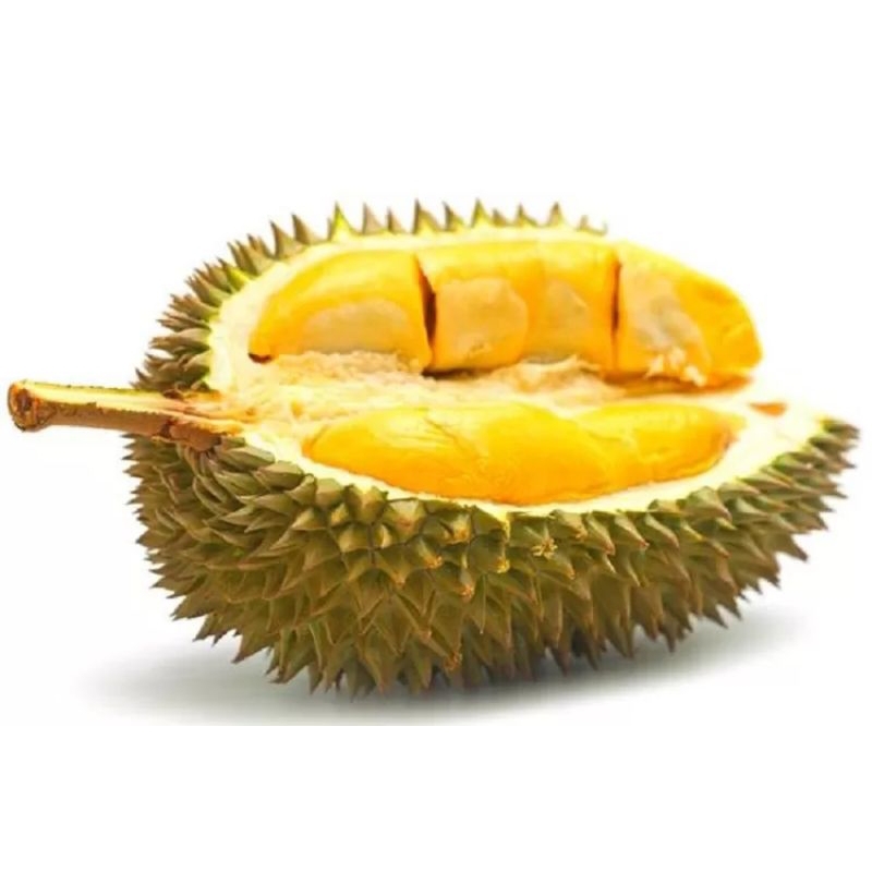 

durian