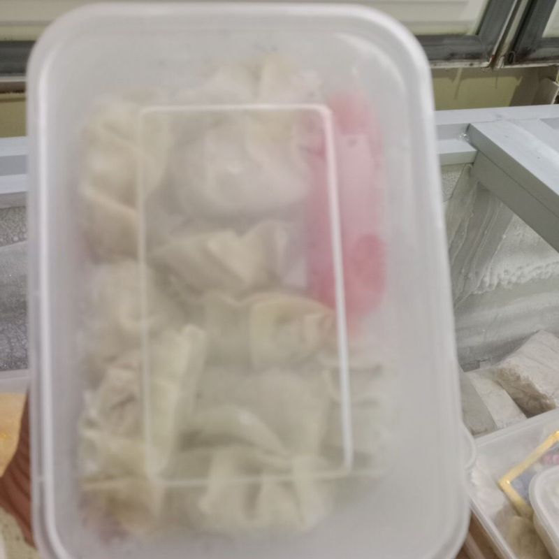 

gyoza ayam