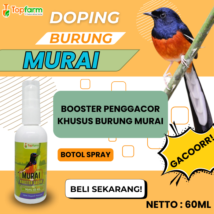 Booster Penggacor Burung Murai 60ML/ Booster Burung Murai/ Vitamin Booster Burung Murai/ Vitamin Pen