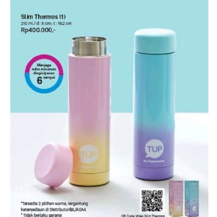 Slim Thermos Tupperware 210ml termos tumbler