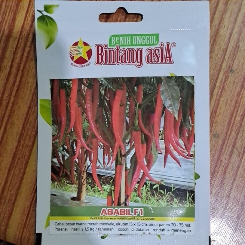 Bibit cabe keriting ABABIL bintang asia