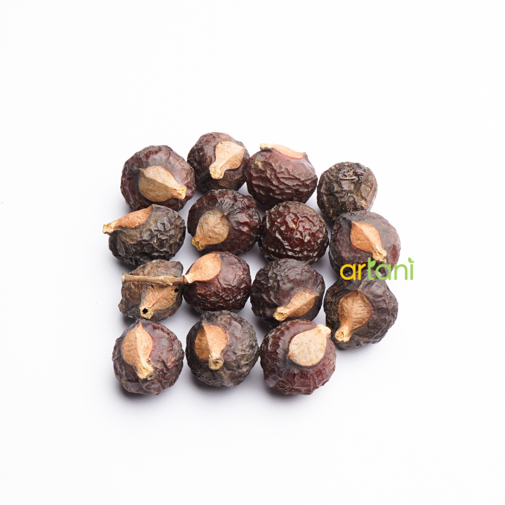 Buah Lerak / Soapnut / Soap Berry / Sabun Lerak / Biji Lerak