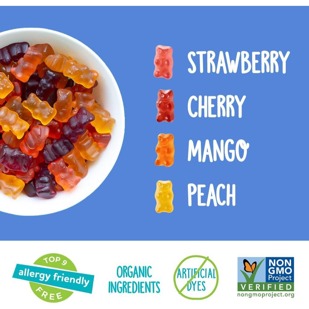 

Yum Earth Organic Snacks for Kids Gluten Free Snack Allergy