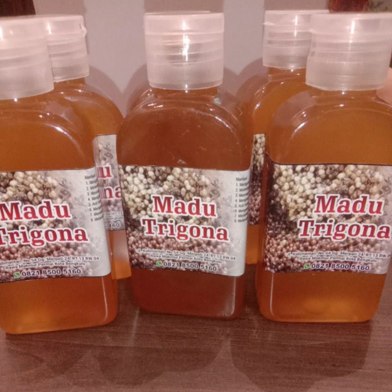 

madu trigona