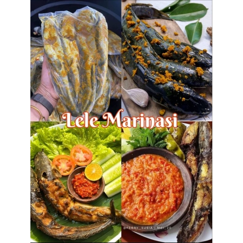 

Lele Bumbu/Marinasi 500gr