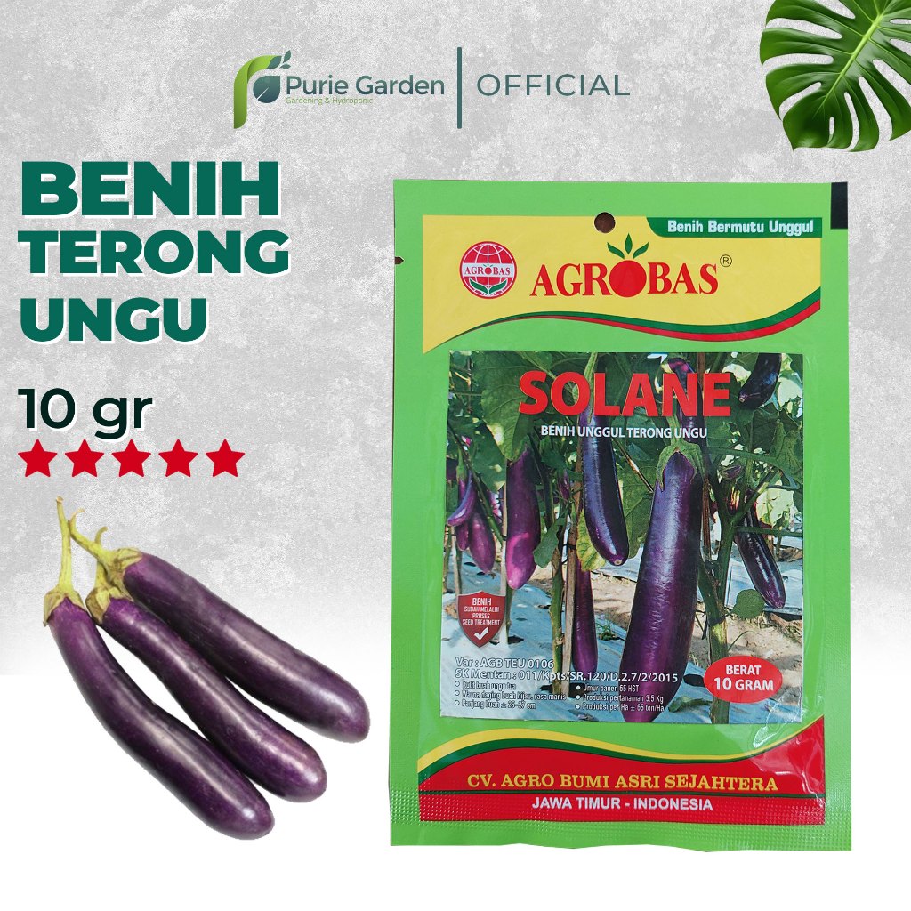 Benih Biji Terong Ungu Solane Kemasan Asli Pabrik 10gr