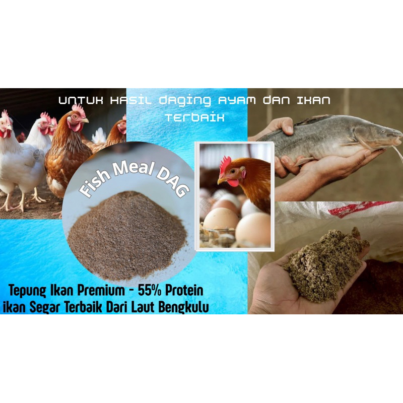 

TEPUNG IKAN Murni Protein Tinggi | PAKAN TERNAK Ayam, Sapi, Ikan |1 Kg