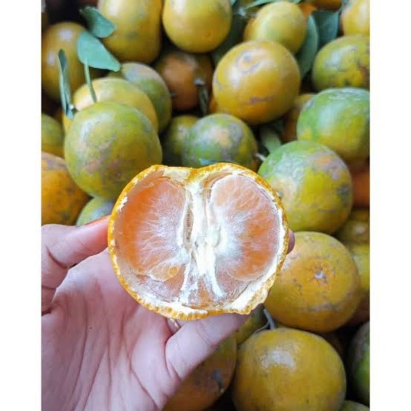 

Jeruk Siam Madu Manis 1 kg