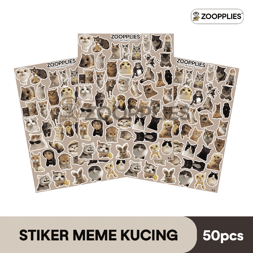 Stiker Meme Kucing Sticker Kucing Lucu