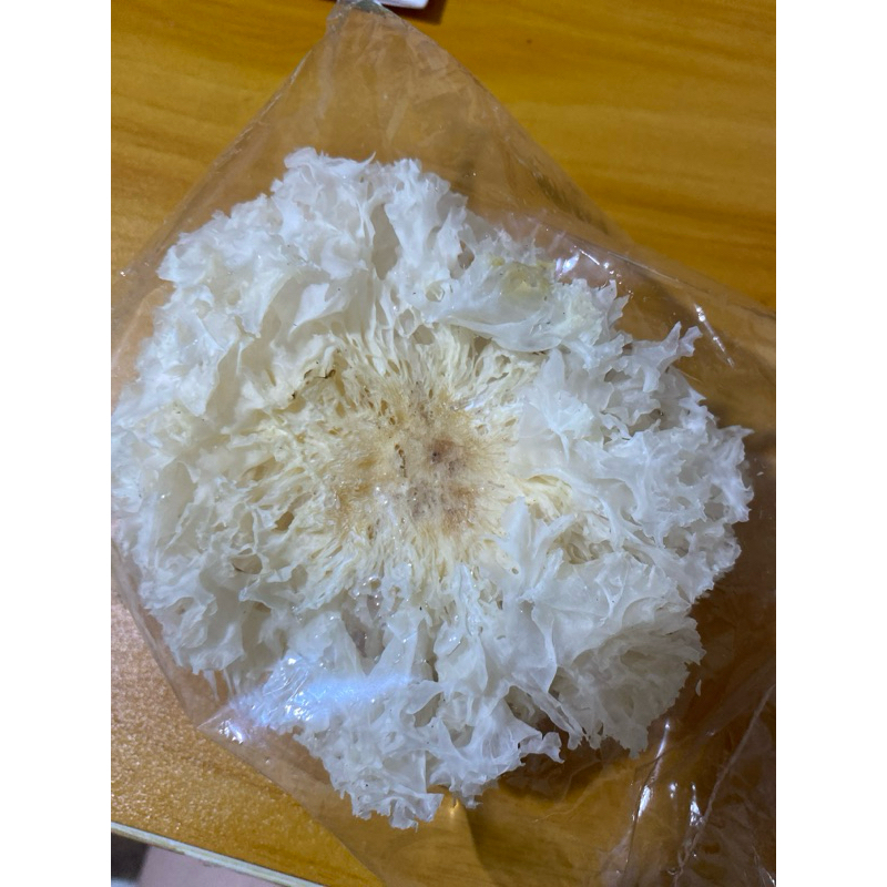 

white fungus