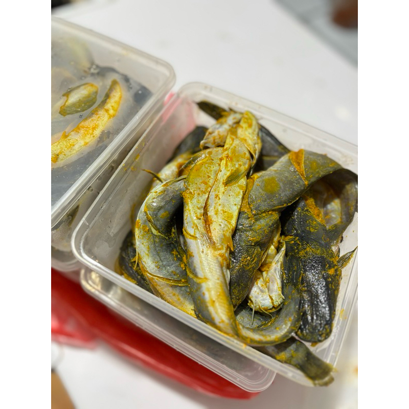 

ikan lele 1kg sudah marinasi