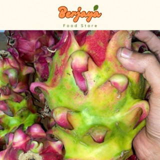 

[Dapat Emas Gratis!] Buah Naga Red Godzilla Grade AAA Segar Organik