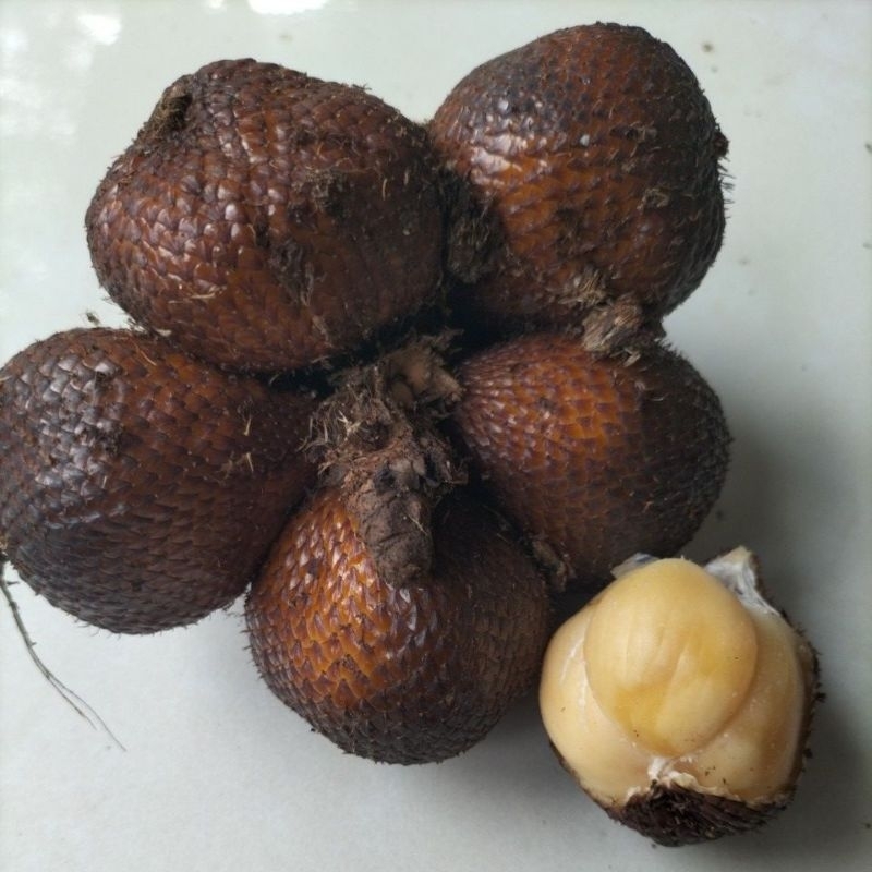 

Salak Bali Asli Muda Mengkal Asam Sepat Sedikit Manis (1Kg)