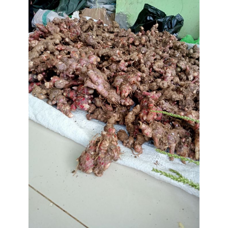 

jahe merah per.500g