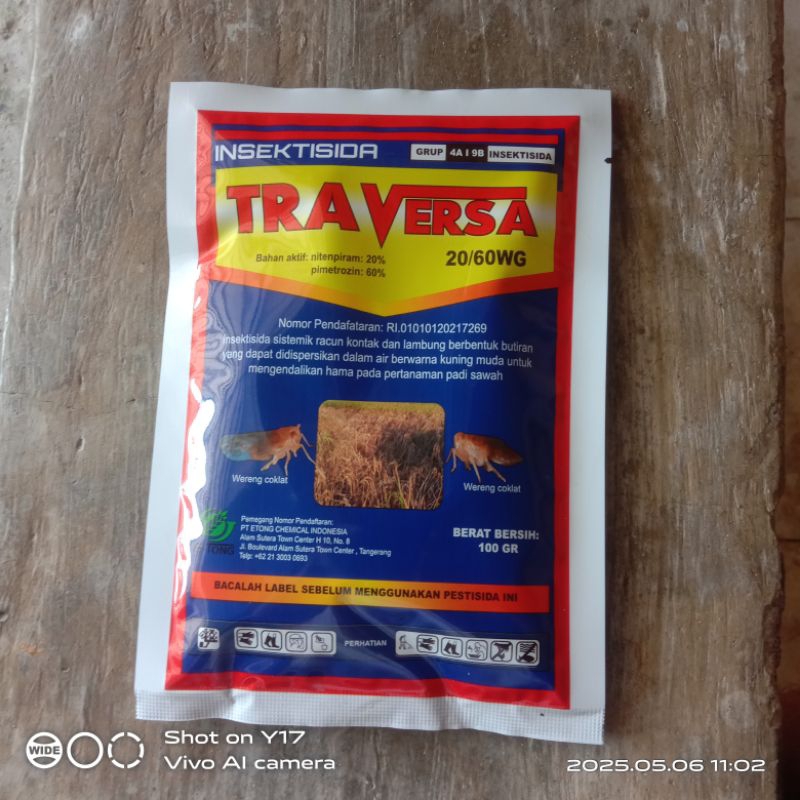 TRAVERSA 100 Gram Pimetrozin/Nitenpiram Basmi Wereng Trip dan Kutu Kebul penyebab tanaman cabe kunin