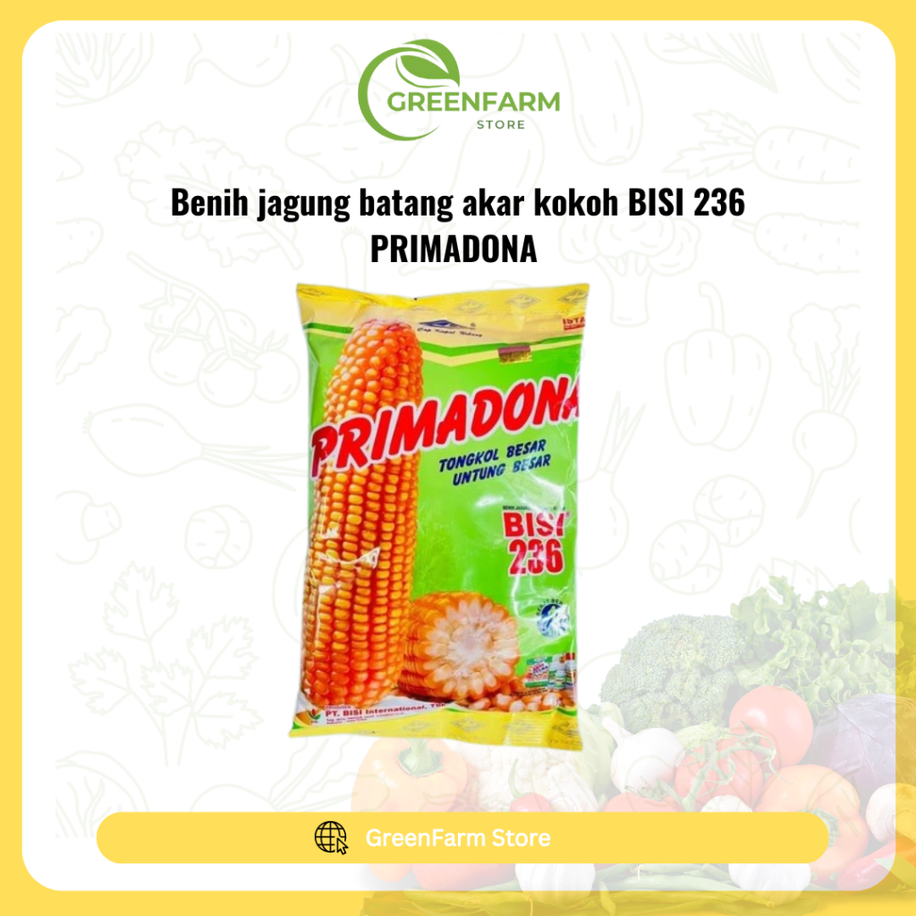 

Benih jagung batang akar kokoh BISI 236 PRIMADONA isi 1kg dr BISI Berkualitas