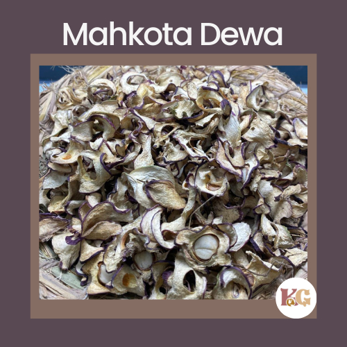 

Mahkota Dewa Kering Herbal Alami Tradisional