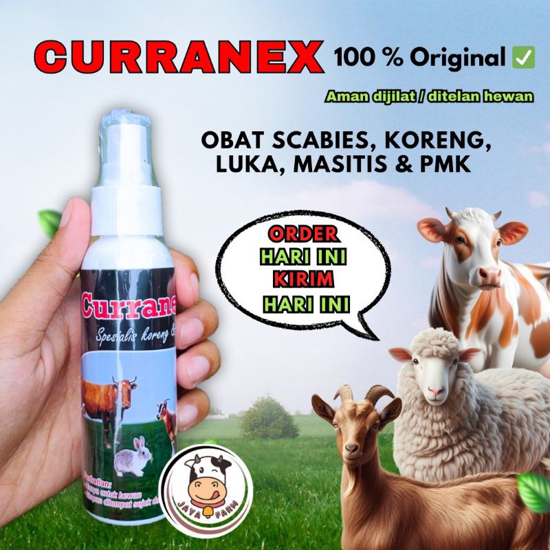 OBAT KORENG SCABIES KUDIS LUKA SAPI KAMBING DOMBA KELINCI