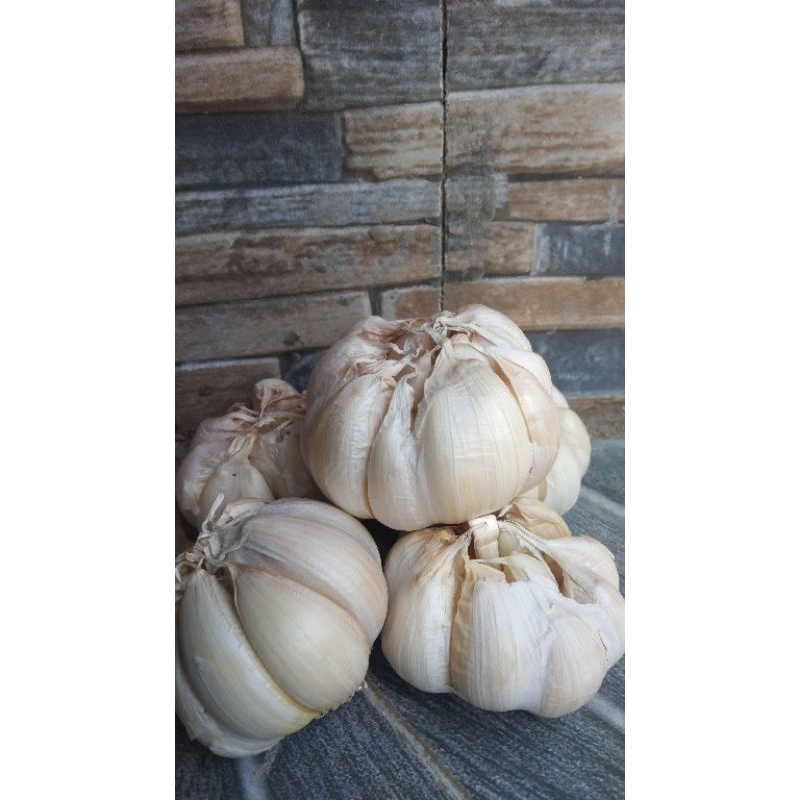

Bawang putih 250 gram