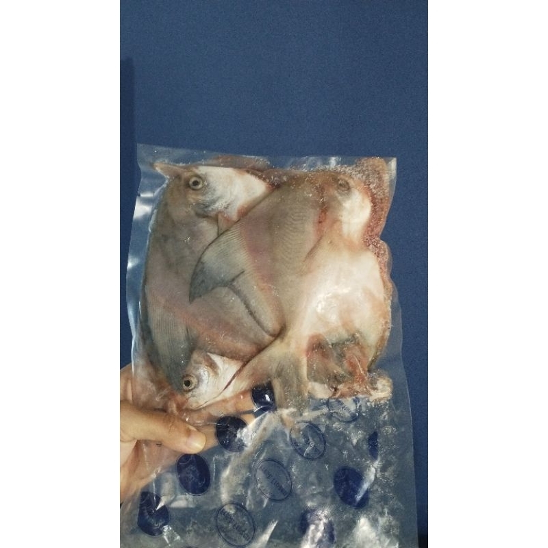 

bawal putih 500g