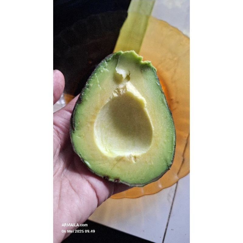 

Buah Alpukat/Alpokat/ Pokat Mentega Gayo