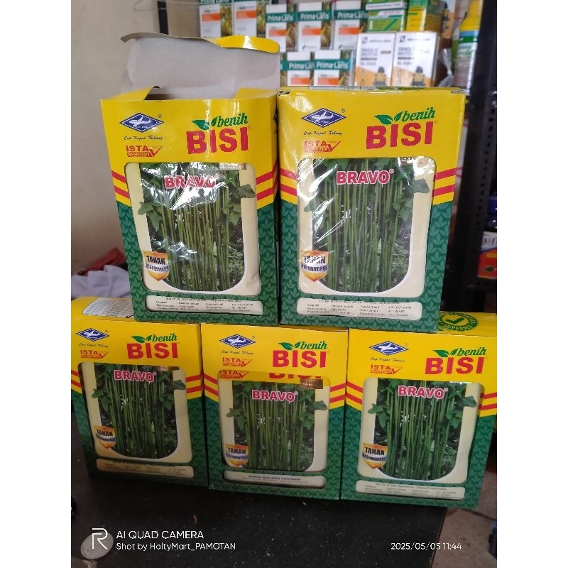 Benih Kacang Panjang Bravo 50gr