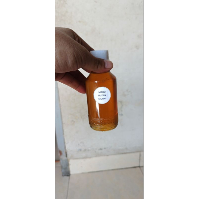 

Madu Hutan Murni