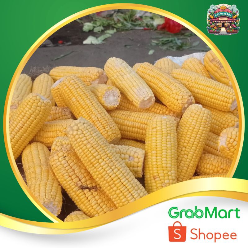 

Jagung Kuning 1Biji ~ Murah Pasar Induk Daring