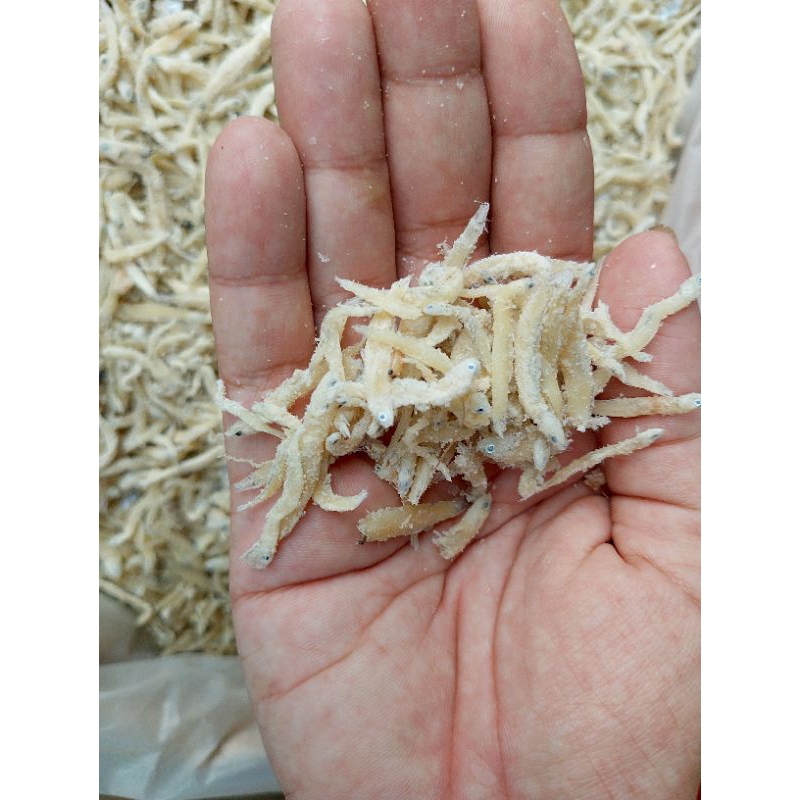 

ikan teri nasi asin