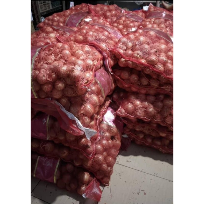 

Grosir Bawang Bombay per Karung +-20 kg Murah