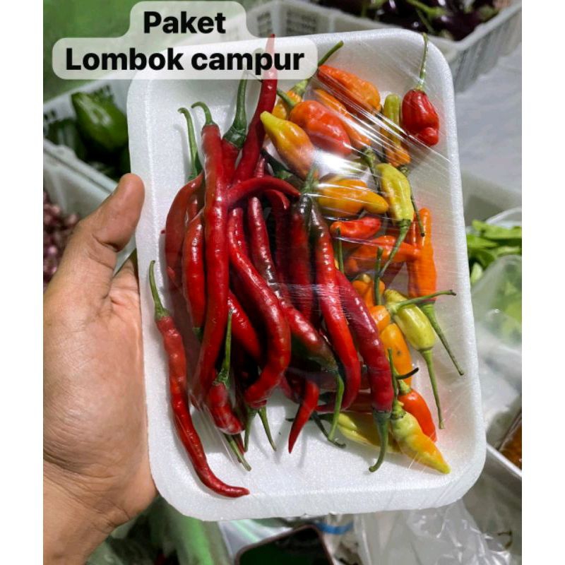 

lombok campur