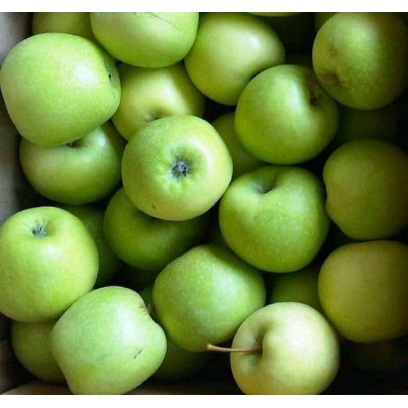 buah apel malang hijau mini 1 kg