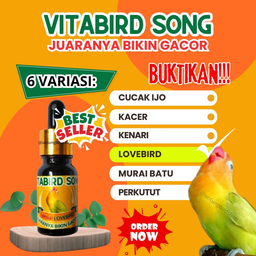 TERMURAH Vitabird Song Vitamin Lovebird Gacor Vitamin Lovebird Lomba Doping Lovebird Gacor
