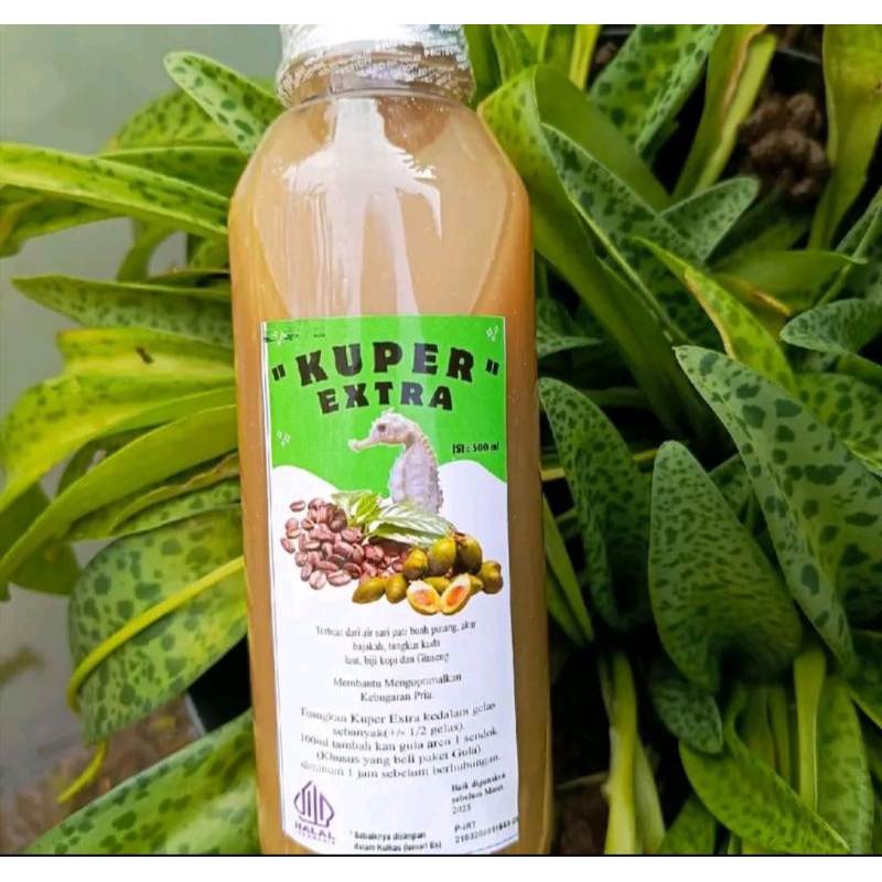 

Saripati Robusta extra Tangkur kuda laut 500 ml