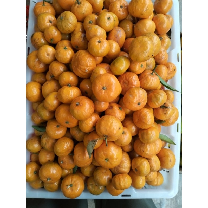 

Jeruk Santang (500gr-1000gr)