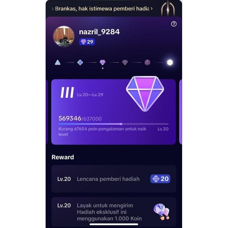 AKUN TIKTOK LEVEL 29