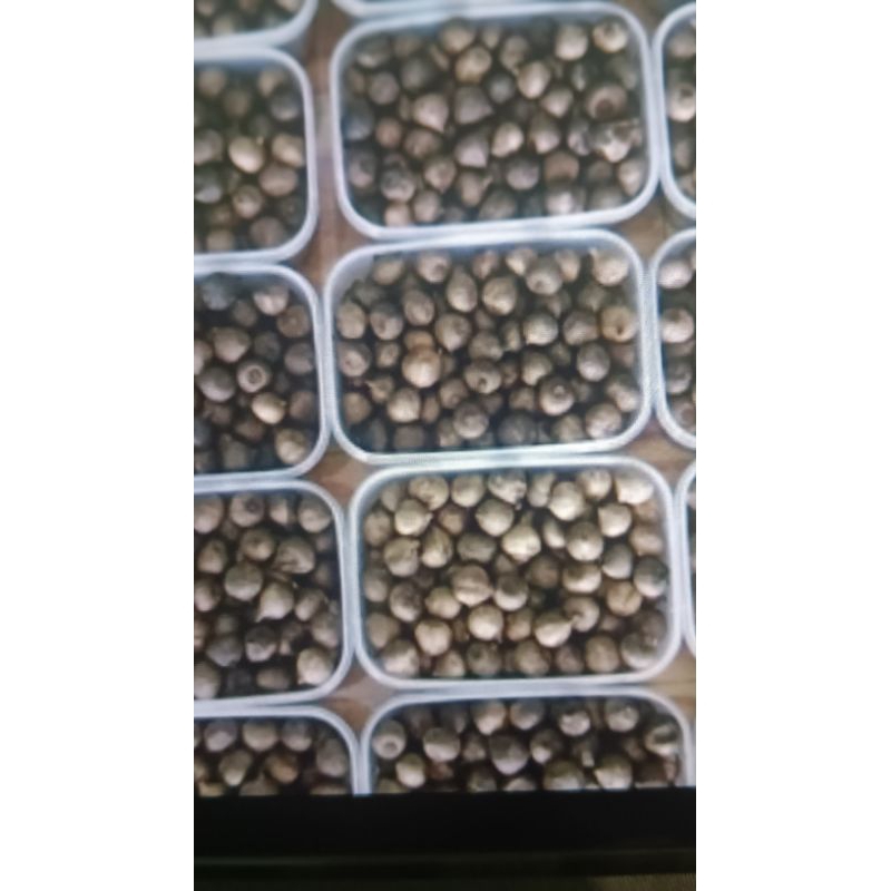 

BLACK Garlic bawang hitam lanang 125gram