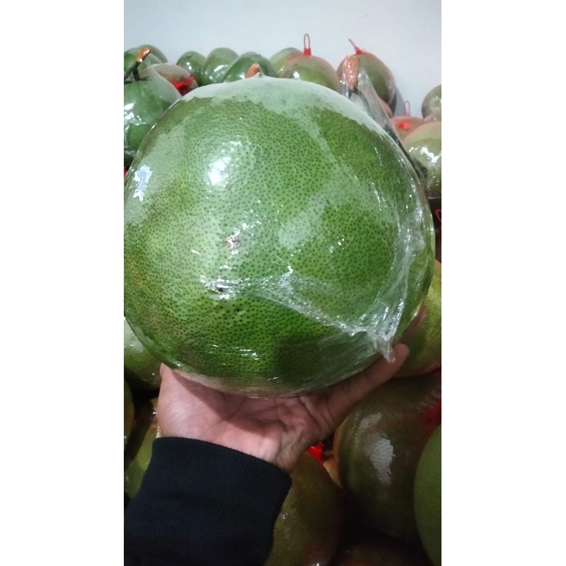 

jeruk pamelo madu jumbo berat 2,1 kg -2,5kg