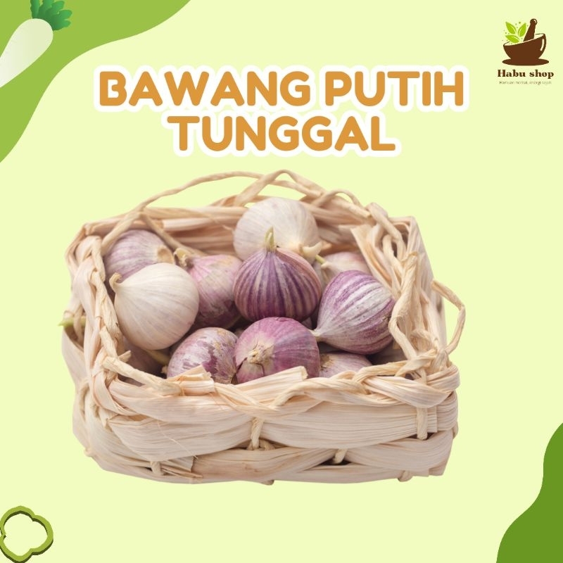 

Bawang putih tunggal